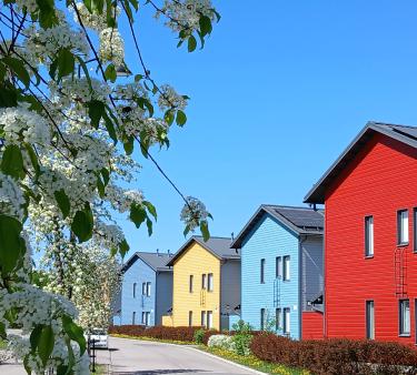 Monivärinen talorivi ja kirsikkapuu kukassa.